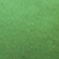 Bamboo Green